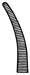 3.5in - Curved   Mosquito Forcep
