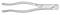 Extracting Forceps