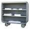 Fiberglass Enclosed Linen Cart - Dual Shelf