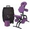 Professional Portable Massage Chair Package