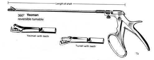 10in Turrell Biopsy Forceps