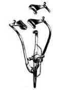 3.5in Guyton-Park Eye Speculum Solid Blades