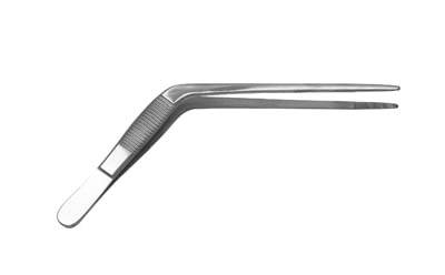 5in Wild Ear Forceps