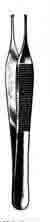 Adson Tissue Forceps, 4-3/4 in, 1x2 Teeth, and Serrated Delicate