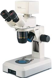 Digital Educational Stereo Microscope