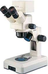 Digital Zoom Stereo Medical Microscope