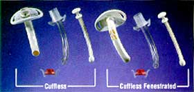 Disposible Cannula Cuffless Fenestrated Tracheostomy Tube