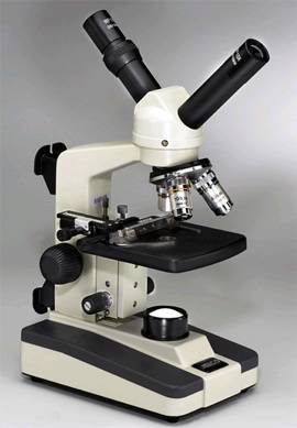 Dual Head Microscope with Plain Tapped Stage