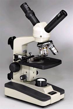 Dual Head Microscope with Mechanical Stage