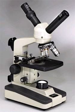 Dual Head Microscope w/ Mechanical Stage