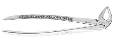 English Extracting Forceps 33