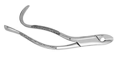 Extracting Forceps 99A