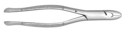 Extracting Forceps 99C