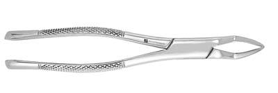 Extracting Forceps 65