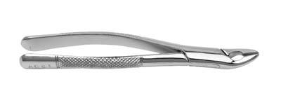 Extracting Forceps #150A