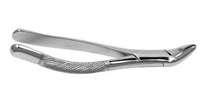 Extracting Forceps 151A