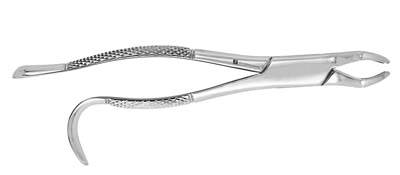 Extracting Forceps #210