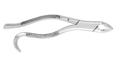 Extracting Forceps #288