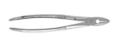 Extracting Forceps #MD1