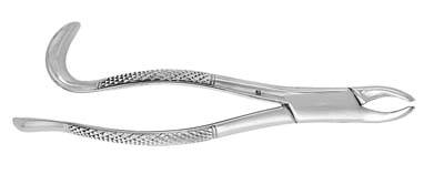 Extracting Forceps 24