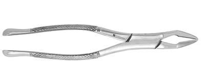 Extracting Forceps 32