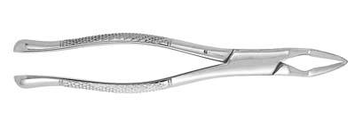 Extracting Forceps 32A