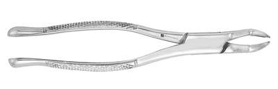 Extracting Forceps 53L