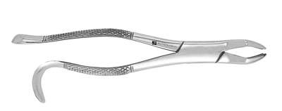 Extracting Forceps 10H