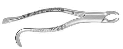 Extracting Forceps 15