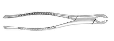 Extracting Forceps 17