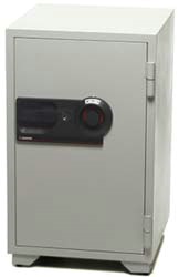 Fire Resistant Commerical Combination Safe