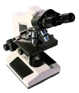 Microscope