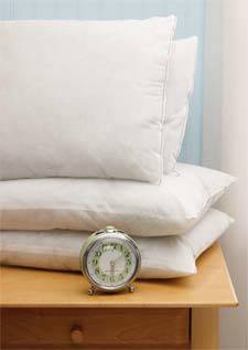 O.R  E.R Light Weight Pillows  16in 22in