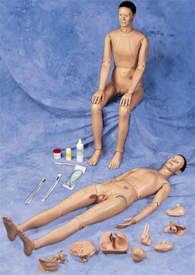 Patient Care Manikin w/ Removable Organs