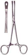Percy Tissue Forceps, 6 in