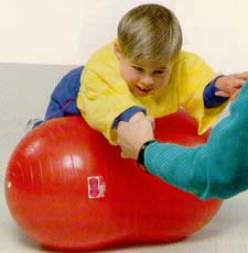 Physio Roll Ball - 70 cm