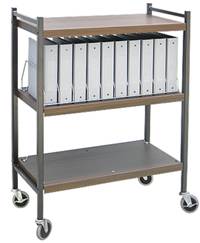 Standard Chart Rack, 10 Binder Capacity