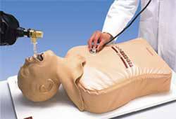 Standard Endotracheal Intubation Simulator