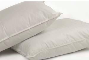Standard Size Pillows 20in x 26in