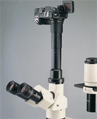 Trinocular Compound Bio Science Microscope