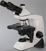 Trinocular Compound Microscope