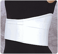 Universal Rib Belt - Female