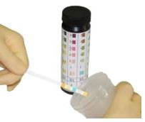 10 Parameter Urine Reagent Strips Test