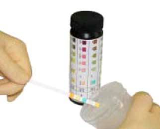 Urine Reagent Test Strips for Blood