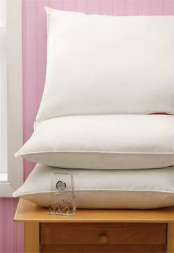 Velvet Soft Washable Pillows 18in x 24in