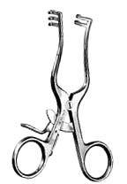 Weitlaner Retractor 2x3 Prongs Blunt 4in