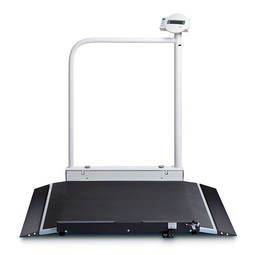 Seca Wheelchair Scale Handrail