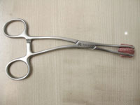 Young Tongue Forceps - Stainless Steel