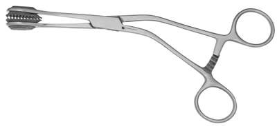 6in Young Tongue Holding Forceps