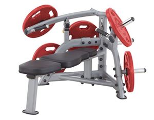 Standard Exercise Bench Press